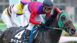 日高の名門牧場が25年ぶりJRA重賞Vへ 阪神JSにローズキングダムの代表産駒参戦