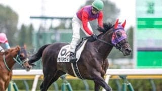 【阪神JS枠順確定】サペラヴィは1枠1番、テイエムタツマキは2枠2番