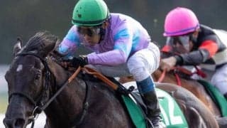 重賞4勝快足ガールの半妹 スプリンターズS有力馬の姉に吉報を届けるか