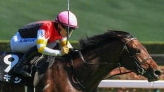 中京芝はBコース替わりで内＆前有利 マキシ＆川田騎手が前々から押し切る