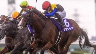 【スプリンターズS想定馬・騎手】ママコチャ、サトノレーヴなど21頭