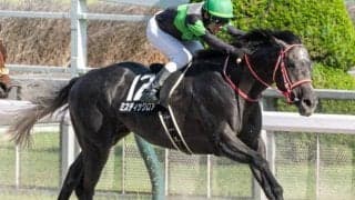 歴史的名馬コントレイルの伯父がOP初Vへ 大舞台に向け弾みをつけられるか