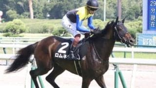 半妹は三冠牝馬のリバティアイランド ロムネヤが御宿特別で待望の3勝目なるか