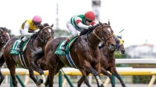 【オールカマー想定馬・騎手】レーベンスティール、ミクソロジーなど15頭