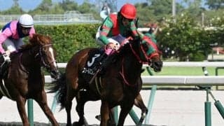 【ききょうS結果】5頭立ての最低人気スリールミニョンが直線一気V