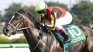 【京成杯AH】ルメール「安全に乗りました」アスコリピチェーノが重賞3勝目