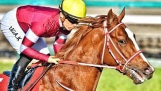 【愛チャンピオンS】A.オブライエン厩舎4頭出し！ シンエンペラーが愛古馬路線の最高峰に挑む