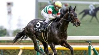 【ローズS予想】スタミナ要求される中京芝2000 前走からの距離延長馬が苦戦する理由とは