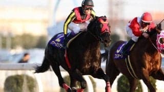 GI/JpnI・9勝のダート王ヴァーミリアンが疝痛のため死亡 22歳