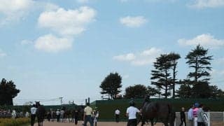 9月14日の出来事一覧/中山・中京