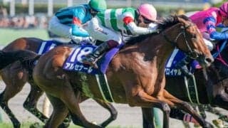 半姉はマイルCS覇者のナミュール 良血馬が納屋橋Sでオープン入りなるか