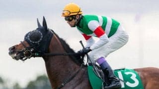 カテドラルの競走馬登録抹消…乗馬へ