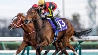 【ローズS予想】中京2000mはハイペースになりにくい 瞬発力がモノをいう一戦に