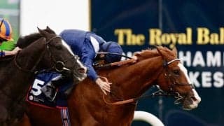 【愛チャンピオンS】マーカンド「一完歩ずつ伸びてくれた」英エコノミクスが4連勝