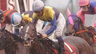 9月15日は「関ケ原合戦の日」 過去のJRA開催では東と西どっちが強い？