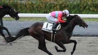 【中京4R新馬戦結果】イスラボニータ産駒キタノサワヤカが直線一気V