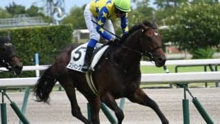 【中京5R新馬戦結果】エピファネイア産駒スリーキングスが競り合いを制す