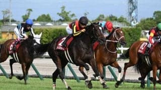 【JRA・WIN5】2・3レース目の波乱で的中わずか4票！ 配当1億768万4230円