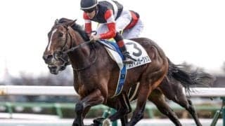 【セントライト記念予想】日本ダービー出走馬が主役！ 前走で快勝した人気馬が抱える不安要素とは