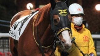 10歳馬→12歳馬のワンツー決着 金沢で9歳上限定の「敬馬賞」