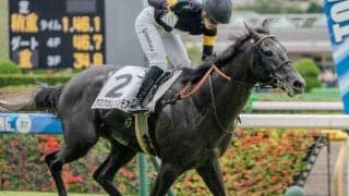 中山芝は内＆前有利に変貌！ アスクカムオンモアの好位抜け出しだ