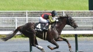 【浦和・オーバルスプリント枠順】重賞初制覇を狙うスレイマンは4枠4番 今年は7頭立て