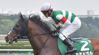 21年の京成杯オータムHを制したカテドラルが登録抹消 今後は乗馬に