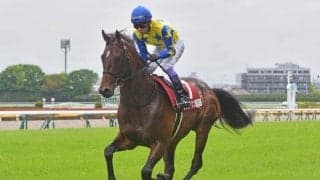 キタサンブラックの半弟シュガークンに左前浅屈腱炎が判明 休養期間は未定