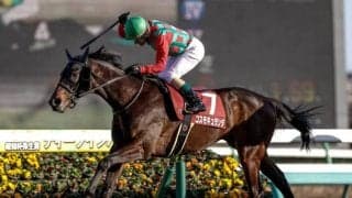 【AI予想・セントライト記念】前走は条件が合わず参考外！ 実績十分の舞台で改めての期待