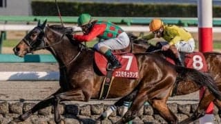 【今日の注目ポイント】中山で菊花賞トライアル・セントライト記念