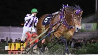 【ばんえい・岩見沢記念】メムロボブサップが重賞19勝目