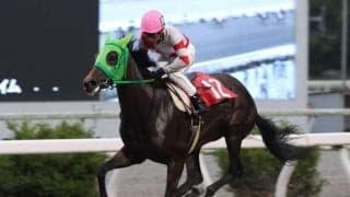 【高知・堆金菊特別】ドライブアウェイがデビュー3連勝…多田羅「最後までいい脚」