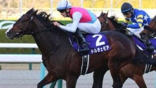 母も兄もGI馬 良血ベストシーンがデビューVなるか