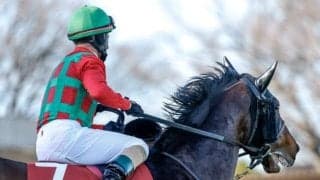 【セントライト記念予想】上位決着多めのレースに隙間はあるのか？ 過去データから探る菊花賞トライアル