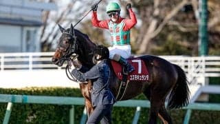 セントライト記念当日の中山芝は内＆前有利 コスモキュランダはスタートがカギだ