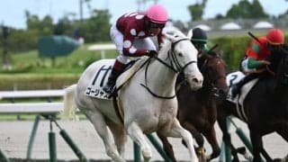【中京5R新馬戦結果】白毛のゴージャスが新馬勝ち ゴールドシップ産駒
