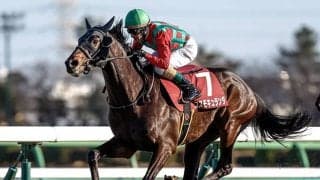 【セントライト記念・馬体重】コスモキュランダは504kg(+2)、アーバンシックは510kg(-2)