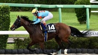 【鋸山特別】テリフィックプランが3連勝