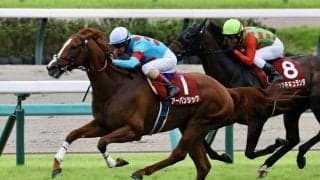 【セントライト記念】アーバンシックが鮮やかな差し切りV…コスモキュランダは2着