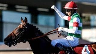 【オールカマー】レーベンスティール、ミクソロジーらが登録