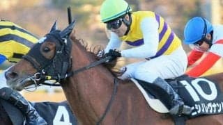 スプリントで活躍の父の産駒では異色の長距離馬 ニシノレヴナントがオールカマーで重賞初V狙う