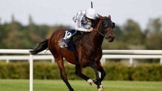 キーファーズ共同所有ファイターが快勝…所有馬海外5連勝と好調