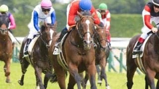 (株)フクキタルにとって縁のあるレース 神戸新聞杯で初の平地重賞制覇なるか