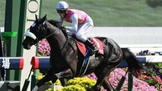 菊花賞TR神戸新聞杯と古馬GIIのオールカマー/今週の競馬界の見どころ