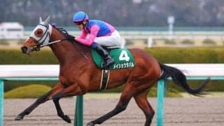 【神戸新聞杯登録馬】メイショウタバルなど16頭