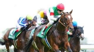 【オールカマー登録馬】レーベンスティールなど15頭