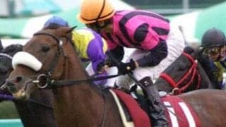 名種牡馬最終世代の1頭は中山の鬼 オールカマー3連覇を振り返る
