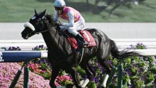 【神戸新聞杯見どころ】コース実績十分のジューンテイクが巻き返す