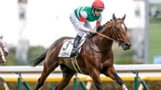 【オールカマー見どころ】GI級の器レーベンスティールの連勝だ