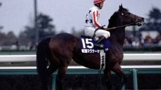 マグナーテンが28歳で死す 02年の毎日王冠など重賞4勝